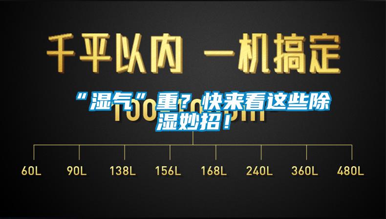 “濕氣”重？快來看這些除濕妙招！