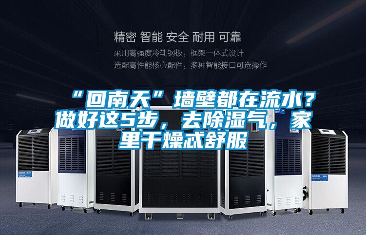 “回南天”墻壁都在流水？做好這5步，去除濕氣，家里干燥忒舒服