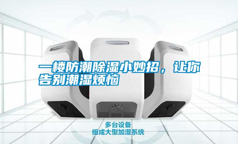 一樓防潮除濕小妙招，讓你告別潮濕煩惱