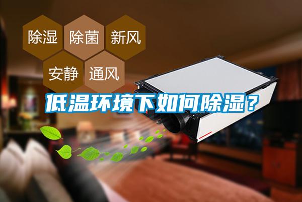 低溫環境下如何除濕？