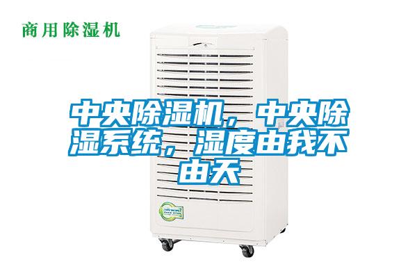 中央除濕機，中央除濕系統，濕度由我不由天