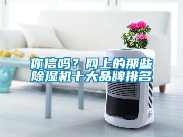 你信嗎?網(wǎng)上的那些除濕機十大品牌排名