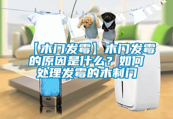 【木門發霉】木門發霉的原因是什么？如何處理發霉的木制門
