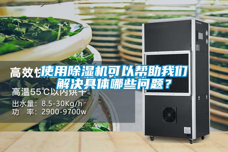 使用除濕機可以幫助我們解決具體哪些問題？