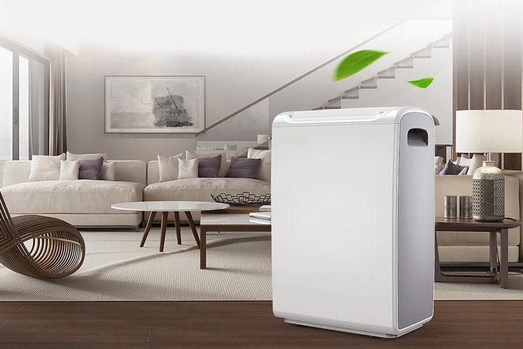 城中村必備家電？宜盾普 YL–2G10EC除濕機