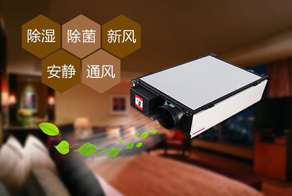 制作花紙的車間倉庫，用工業除濕機顯得尤為重要