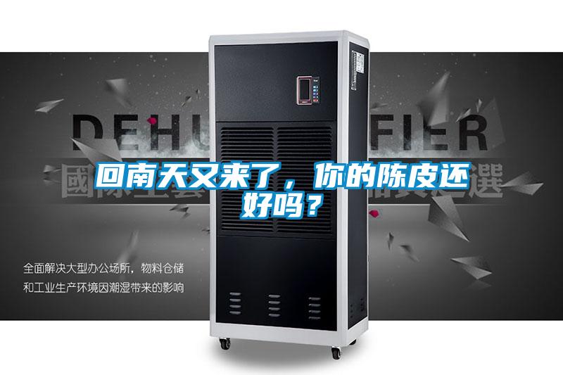 回南天又來了，你的陳皮還好嗎？