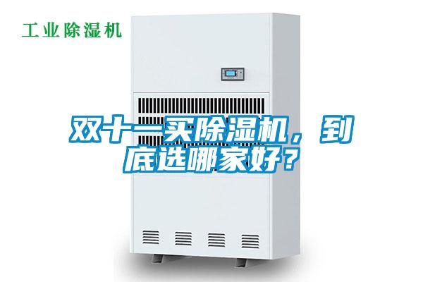 雙十一買除濕機(jī)，到底選哪家好？
