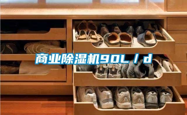 商業(yè)除濕機90L/d