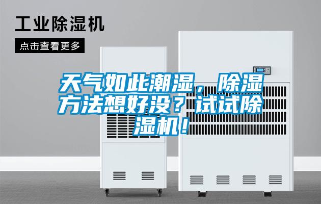 天氣如此潮濕，除濕方法想好沒？試試除濕機！