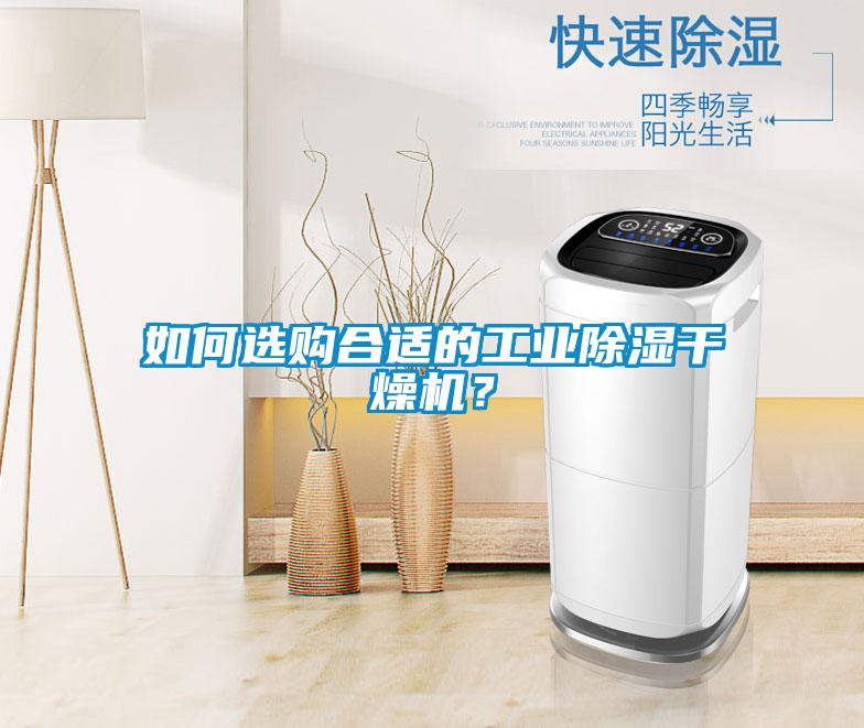 如何選購合適的工業除濕干燥機？