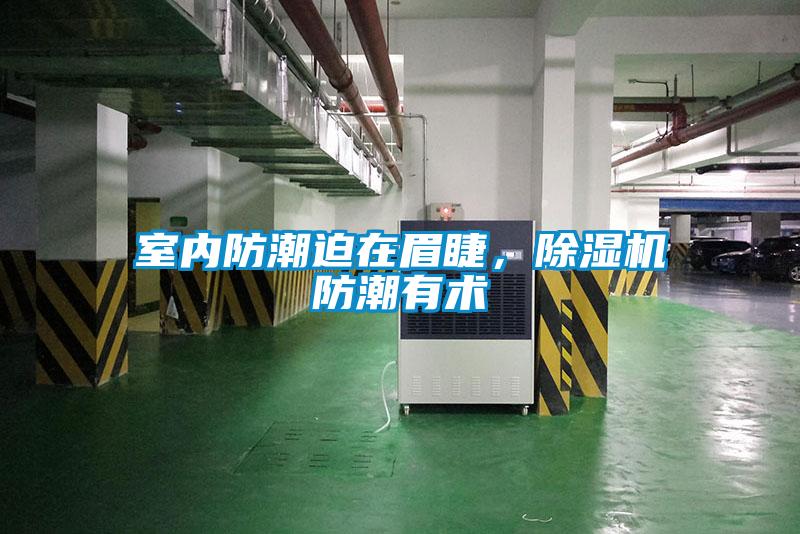 室內防潮迫在眉睫，除濕機防潮有術