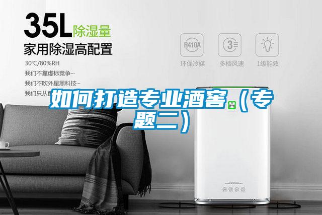 如何打造專(zhuān)業(yè)酒窖（專(zhuān)題二）