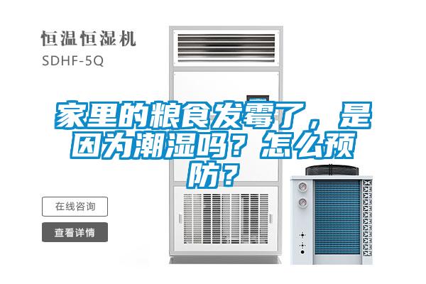 家里的糧食發霉了，是因為潮濕嗎？怎么預防？