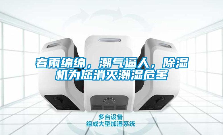 春雨綿綿，潮氣逼人，除濕機為您消滅潮濕危害
