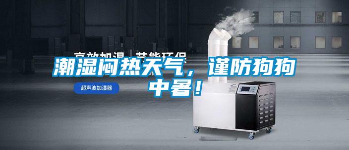潮濕悶熱天氣，謹防狗狗中暑！