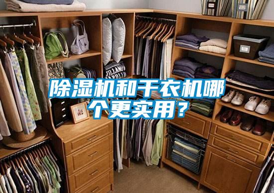 除濕機和干衣機哪個更實用？
