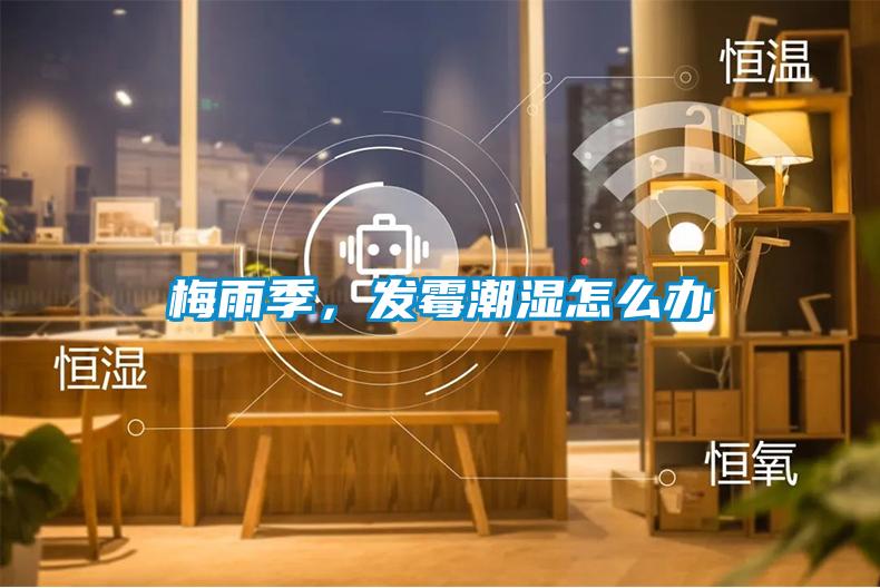 梅雨季，發霉潮濕怎么辦