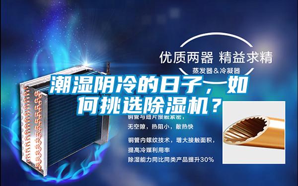 潮濕陰冷的日子，如何挑選除濕機？