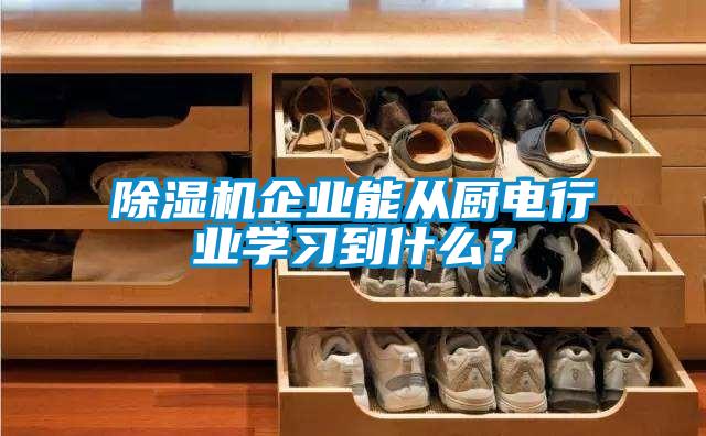 除濕機企業(yè)能從廚電行業(yè)學(xué)習(xí)到什么?