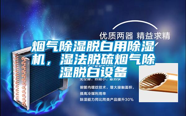 煙氣除濕脫白用除濕機，濕法脫硫煙氣除濕脫白設備