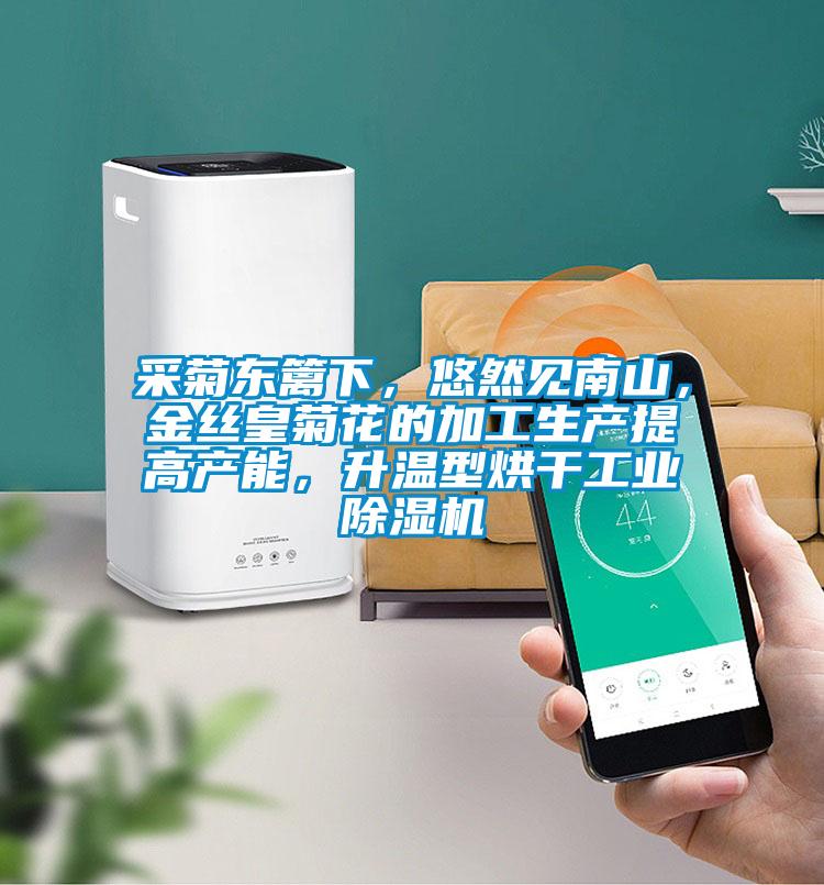 采菊東籬下，悠然見南山，金絲皇菊花的加工生產提高產能，升溫型烘干工業除濕機