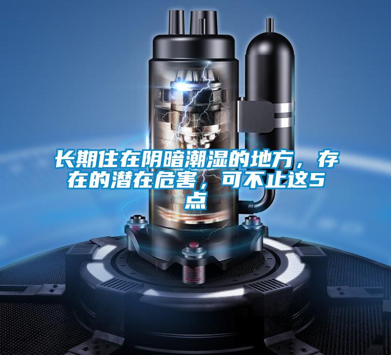 長期住在陰暗潮濕的地方，存在的潛在危害，可不止這5點