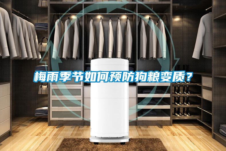 梅雨季節如何預防狗糧變質?