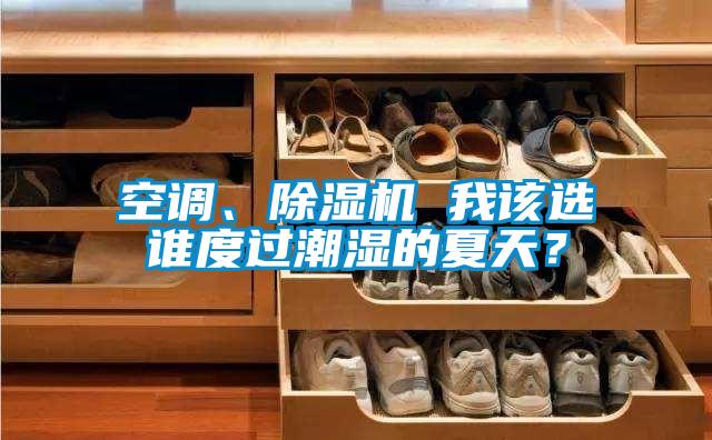 空調(diào)、除濕機(jī) 我該選誰度過潮濕的夏天？