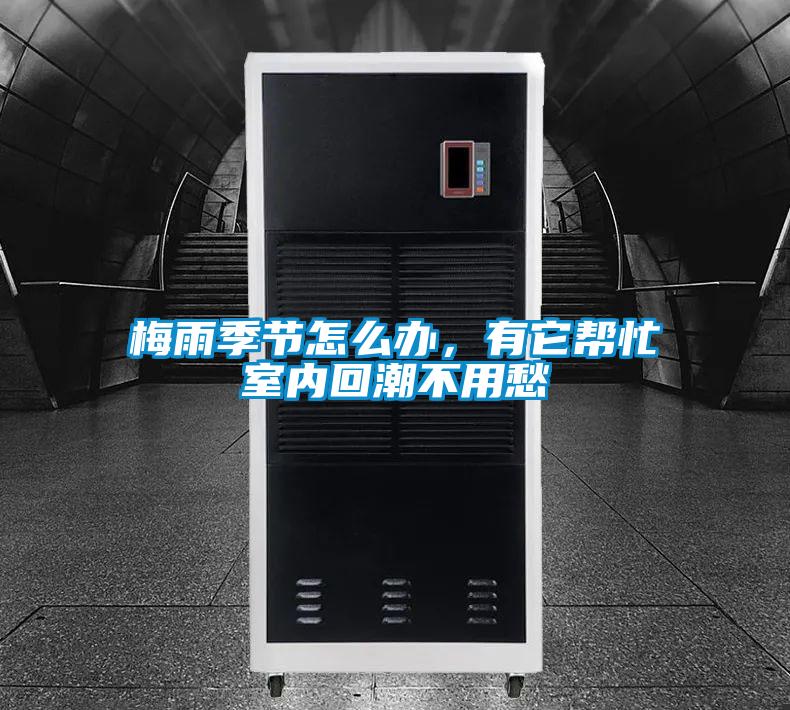 梅雨季節(jié)怎么辦，有它幫忙室內(nèi)回潮不用愁