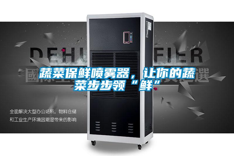 蔬菜保鮮噴霧器，讓你的蔬菜步步領“鮮”