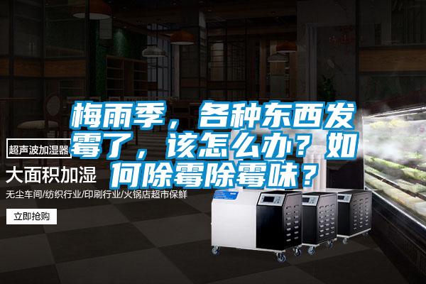 梅雨季，各種東西發(fā)霉了，該怎么辦？如何除霉除霉味？