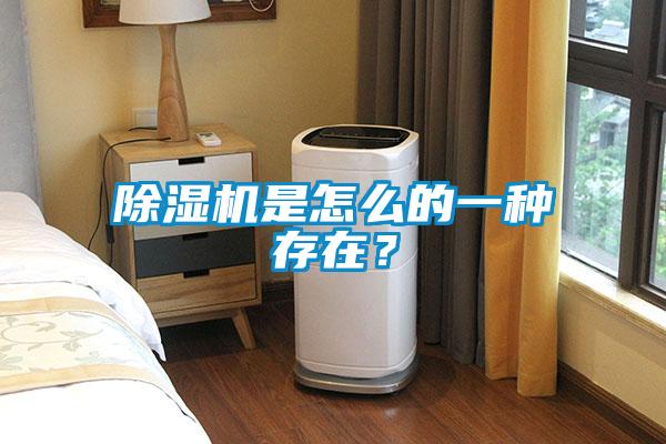 除濕機是怎么的一種存在？