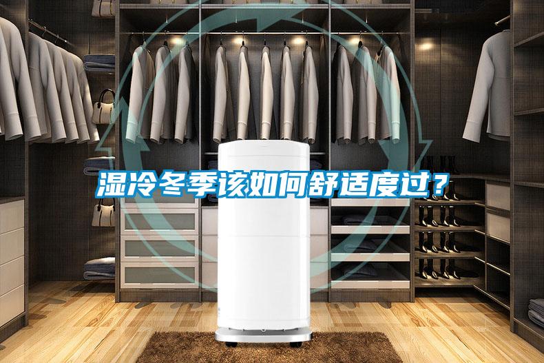 濕冷冬季該如何舒適度過？