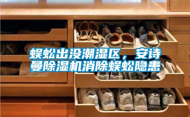 蜈蚣出沒潮濕區，安詩曼除濕機消除蜈蚣隱患