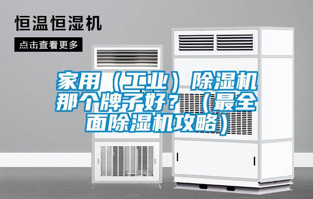 家用（工業）除濕機那個牌子好？（最全面除濕機攻略）
