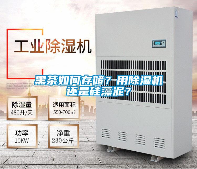 黑茶如何存儲？用除濕機還是硅藻泥？