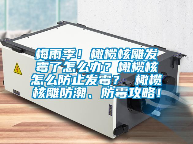 梅雨季！橄欖核雕發霉了怎么辦？橄欖核怎么防止發霉？ 橄欖核雕防潮、防霉攻略！