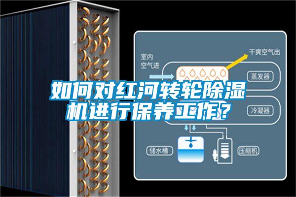 如何對紅河轉輪除濕機進行保養工作？