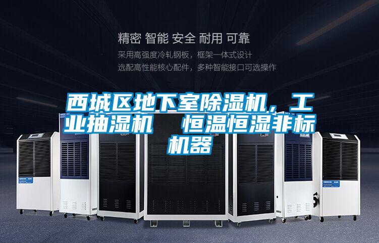 西城區(qū)地下室除濕機，工業(yè)抽濕機  恒溫恒濕非標(biāo)機器