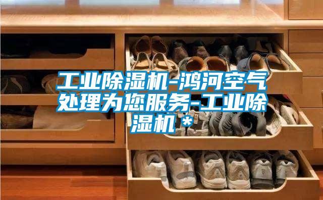 工業(yè)除濕機-鴻河空氣處理為您服務-工業(yè)除濕機*