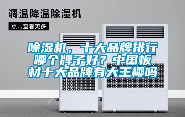 除濕機(jī)，十大品牌排行哪個(gè)牌子好？中國(guó)板材十大品牌有大王椰嗎
