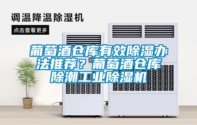 葡萄酒倉(cāng)庫(kù)有效除濕辦法推薦？葡萄酒倉(cāng)庫(kù)除潮工業(yè)除濕機(jī)