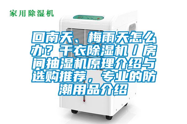 回南天、梅雨天怎么辦？干衣除濕機(jī)／房間抽濕機(jī)原理介紹與選購?fù)扑]，專業(yè)的防潮用品介紹