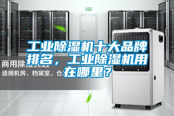 工業除濕機十大品牌排名，工業除濕機用在哪里？