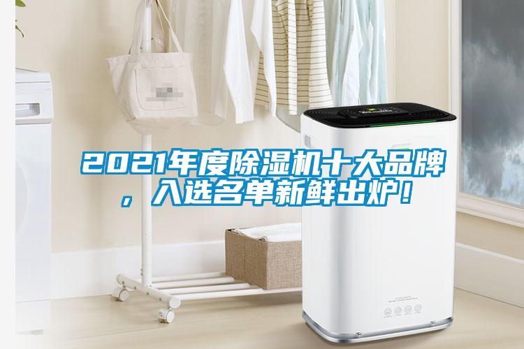 2021年度除濕機(jī)十大品牌，入選名單新鮮出爐！