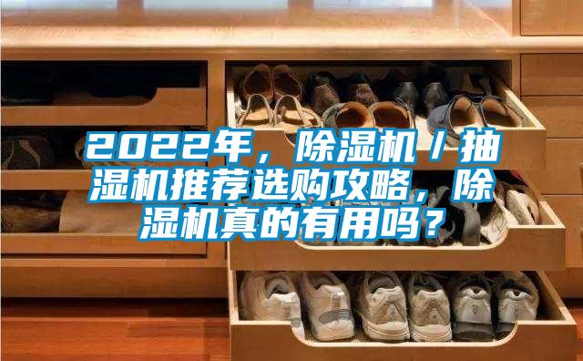 2022年，除濕機／抽濕機推薦選購攻略，除濕機真的有用嗎？