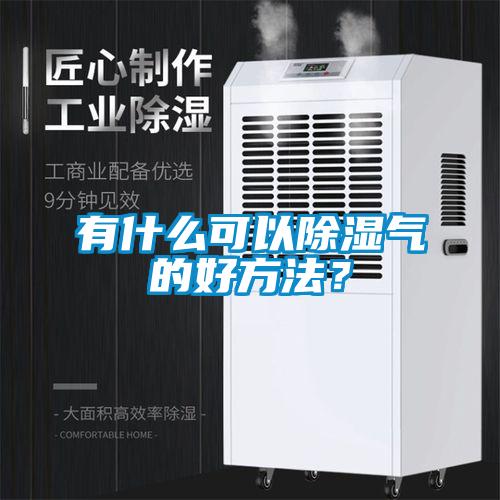 有什么可以除濕氣的好方法？