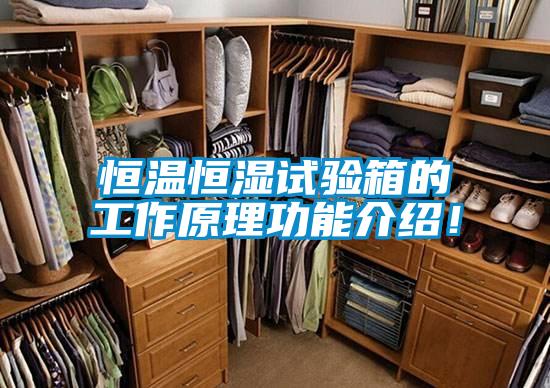 恒溫恒濕試驗箱的工作原理功能介紹！