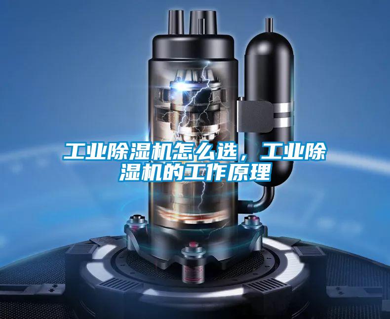 工業除濕機怎么選，工業除濕機的工作原理